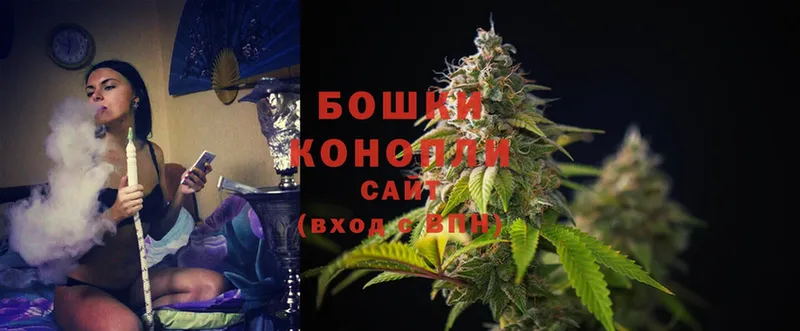 Бошки марихуана THC 21%  Гаврилов Посад 